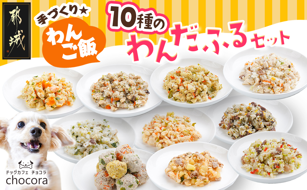 手づくり☆わんご飯『10種のわんだふるセット』_AC-J501