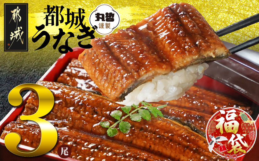 【福袋★2026】宮崎県育ちのうなぎ蒲焼3尾500g以上≪山椒・たれ付≫_AC-M301-F2026