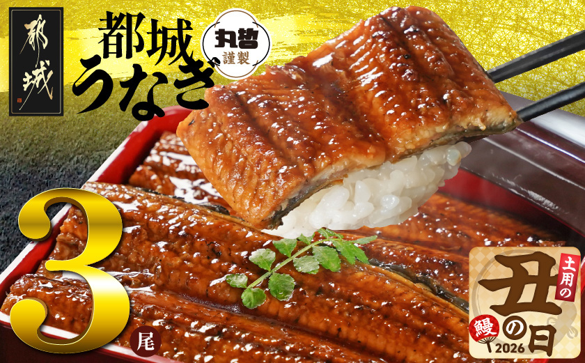 【丑の日】宮崎県育ちのうなぎ蒲焼3尾500g以上≪山椒・たれ付≫≪7月20日～25日お届け≫_AC-M301-UG