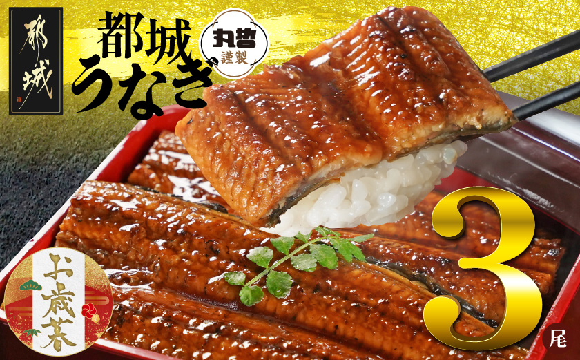 【お歳暮】宮崎県育ちのうなぎ蒲焼3尾500g以上≪山椒・たれ付≫≪11月17日～12月21日お届け≫_AC-M301-WG