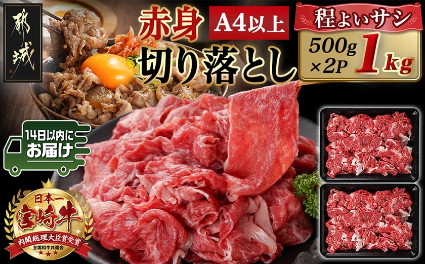 宮崎牛赤身切り落とし(500g×2P)≪みやこんじょ快速便≫_AC-N403-R_【肉 牛肉 切り落とし 焼き肉 焼肉 スライス すき焼き しゃぶしゃぶ 人気 おすすめ 国産】