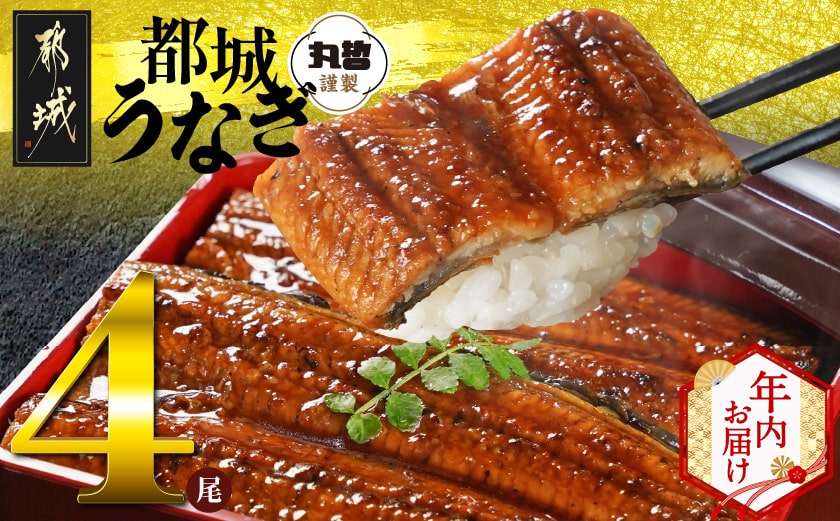 【年内お届け】宮崎県育ちのうなぎ蒲焼4尾760g以上≪山椒・たれ付≫≪2025年12月15日～31日お届け≫_AD-M301-76-HNY
