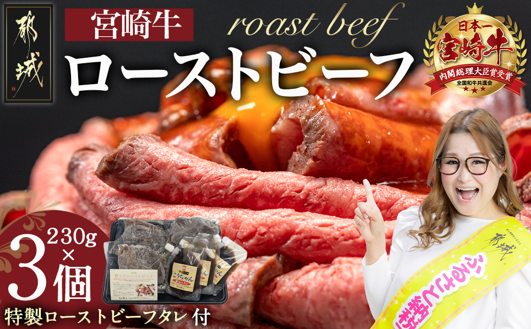 宮崎牛ローストビーフ 230g×3個_AF-2602