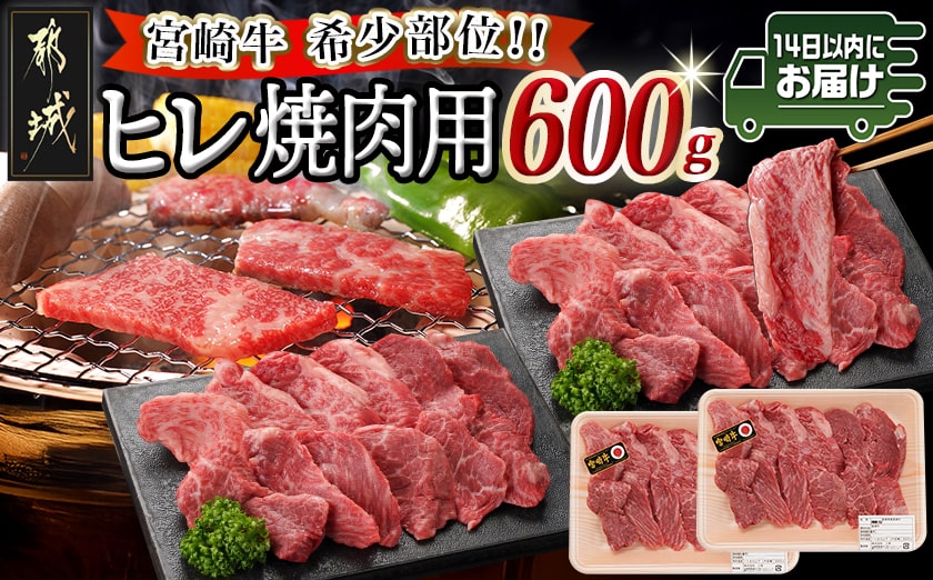宮崎牛ヒレ焼肉用600g≪みやこんじょ快速便≫_AF-8902-R