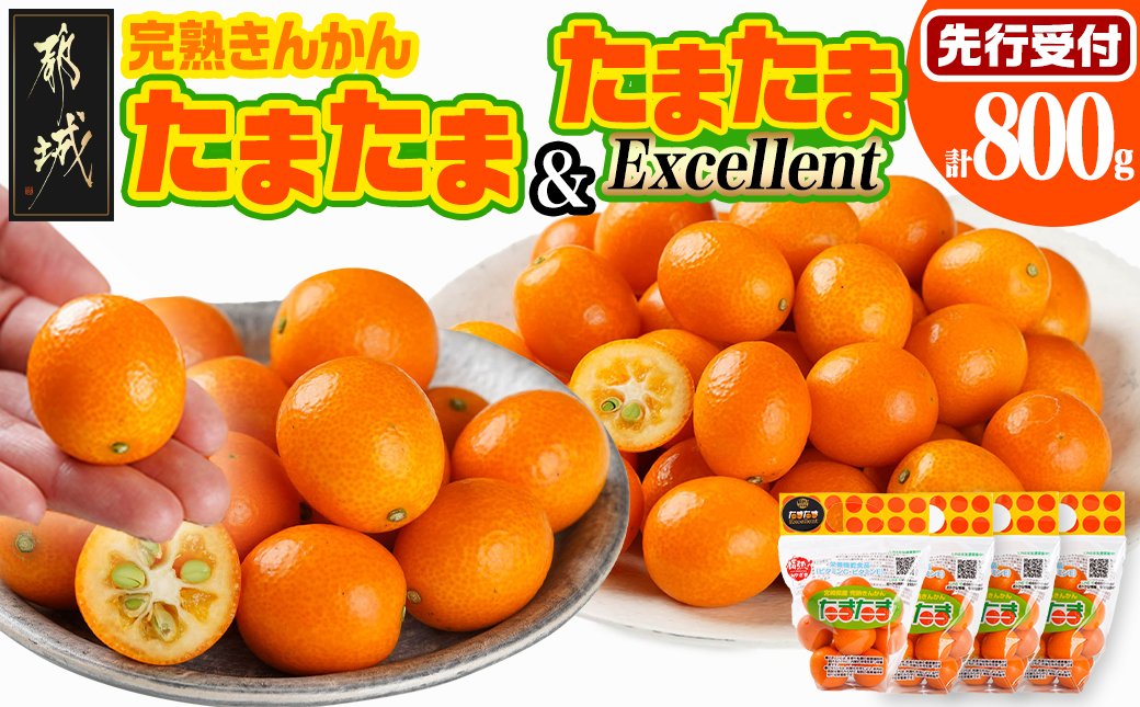 《先行受付!》 完熟きんかん「たまたまL」&「たまたまExcellent」 計800g (スタンドパック入り)_AO-0103