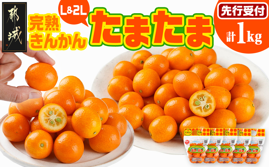《先行受付!》 完熟きんかん「たまたまL&2L」 計1kg (スタンドパック入り)_AO-0104
