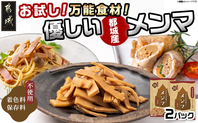【お試し♪】万能食材☆優しい都城産メンマ※ポスト投函_LB-9204-PF