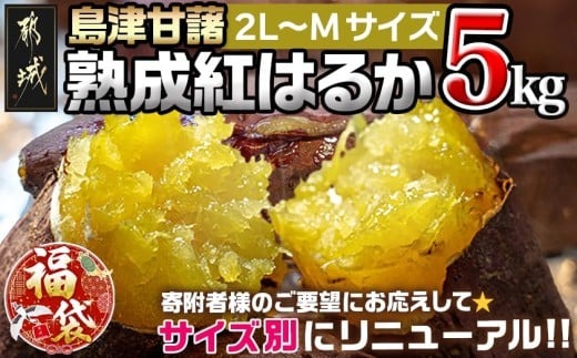 【福袋★2026】島津甘藷 熟成紅はるか 5kg(2L～M)_LD-A701-F2026