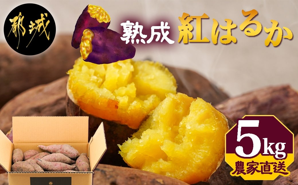 【農家直送】山下農園　熟成紅はるか 5kg_LD-I704