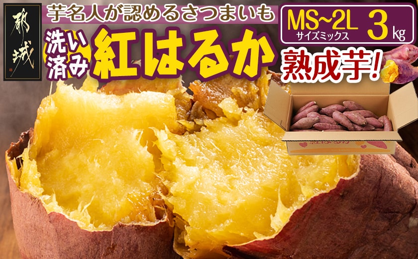 【熟成芋】芋名人が認めるさつまいも『洗い済み　紅はるか』3kg MS～2Lミックス ※12月～1月頃順次発送_LD-L704-J