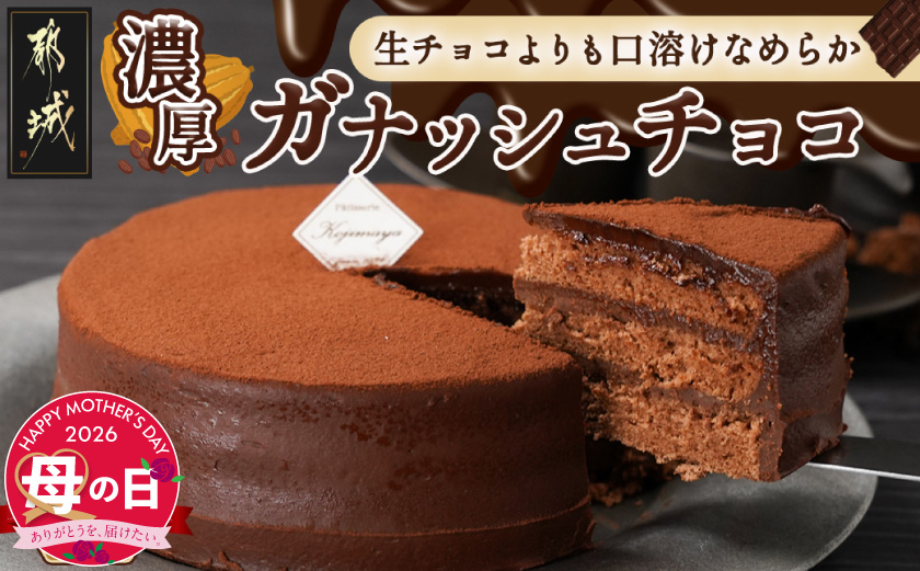 【母の日】風味豊かなガナッシュチョコ15cm≪5月7日～10日お届け≫_LE-7601-MG