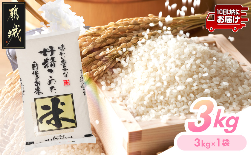 都城産米と国産米ブレンド 3kg≪みやこんじょ特急便≫_LF-33-001-3kg-Q