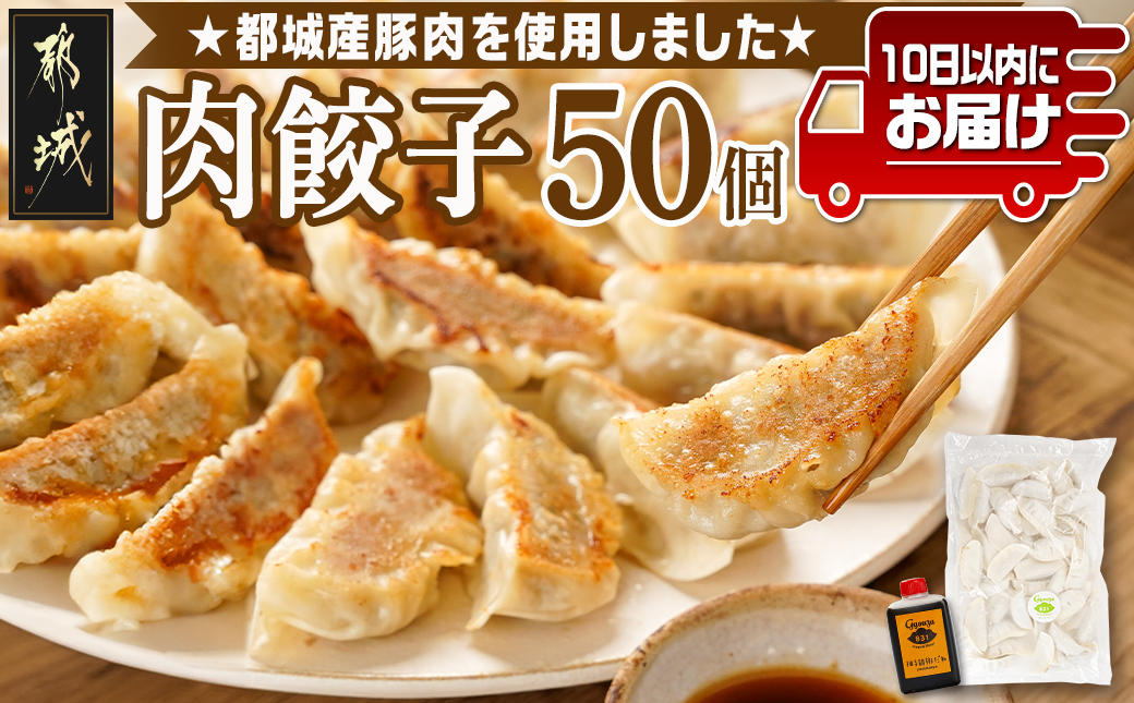 831ハチサンイチの肉餃子50個入り ≪みやこんじょ特急便≫_LF-K602-Q