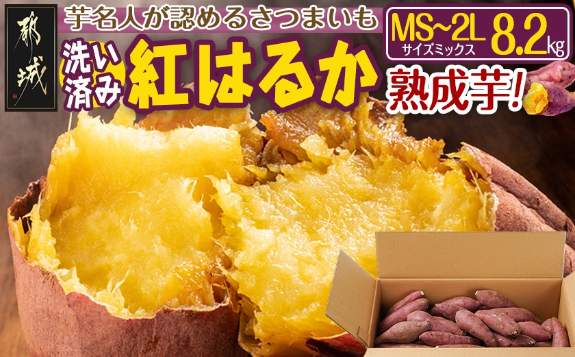 【熟成芋】芋名人が認めるさつまいも『洗い済み　紅はるか』8.2kg MS～2Lミックス ※12月～1月頃順次発送_LG-L701-J