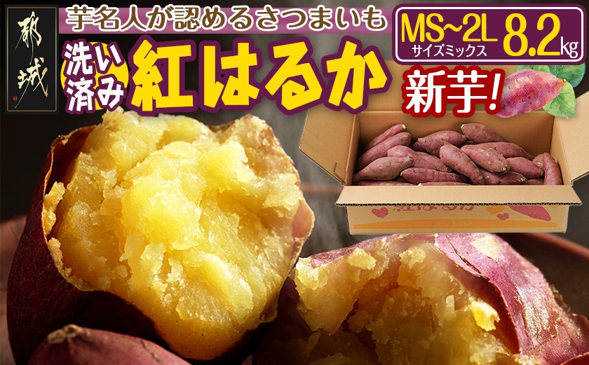 【新芋】芋名人が認めるさつまいも『洗い済み　紅はるか』8.2kg MS～2Lミックス ※9月～11月頃順次発送_LG-L701-N