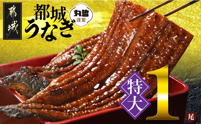 宮崎県育ちの【特大】うなぎ蒲焼1尾210g以上≪山椒・たれ付≫_LG-M301