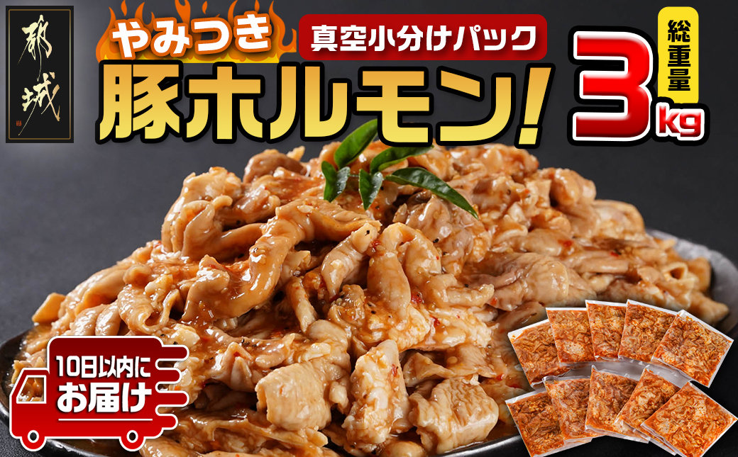 やみつき豚ホルモン!3kg!真空小分けパック!≪みやこんじょ特急便≫_LG8-3303-Q