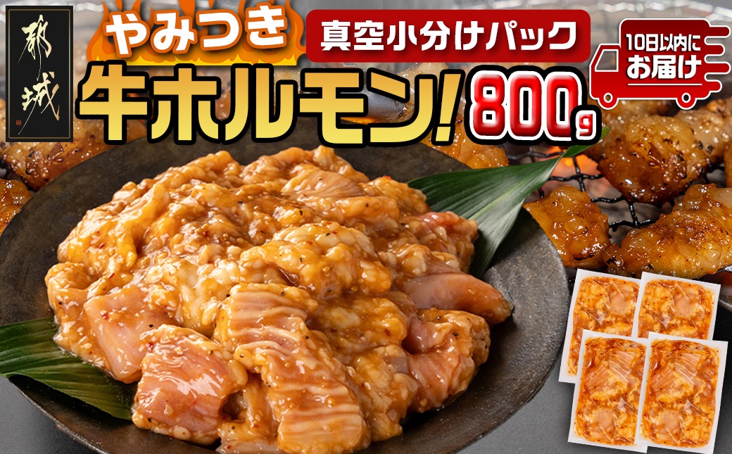やみつき牛ホルモン800g!(真空小分け)≪みやこんじょ特急便≫_LG8-3307-Q_【肉 牛肉 焼き肉 焼肉 人気 おすすめ】