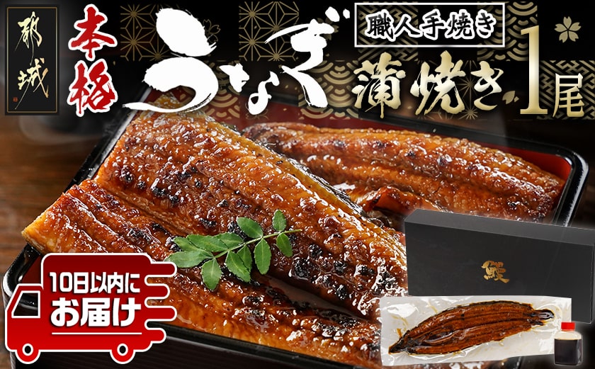 職人手焼きの本格うなぎ蒲焼き1尾≪みやこんじょ特急便≫_LG8-3310-Q