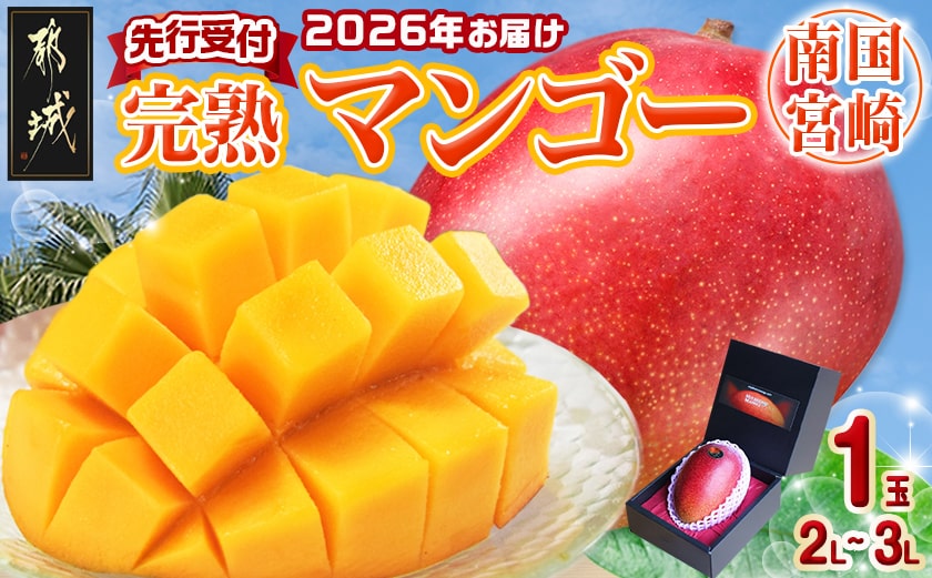 【先行受付!】宮崎完熟マンゴー1玉(都城産)_MJ-3301