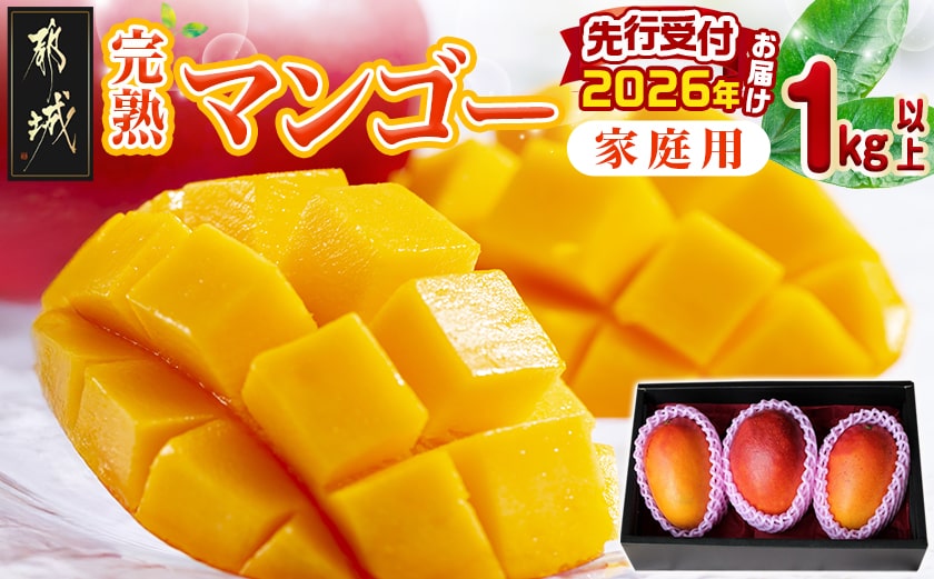 【先行受付!】宮崎完熟マンゴー家庭用1kg以上(都城産)_MJ-3311_【果物 先行予約 フルーツ】