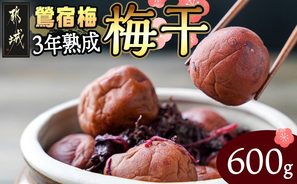 徳重おばあちゃんがつくった昔ながらの3年熟成梅干600g_MJ-4901