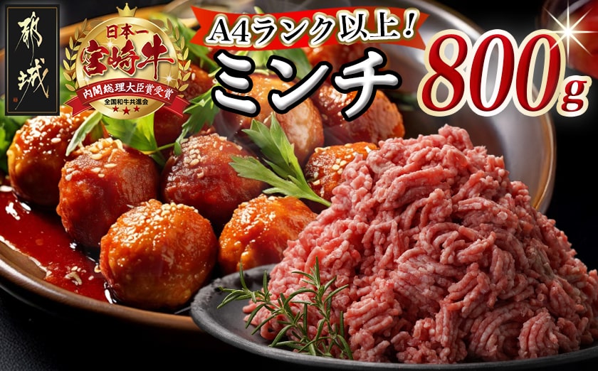 宮崎牛100％ミンチ800g_MJ-8933