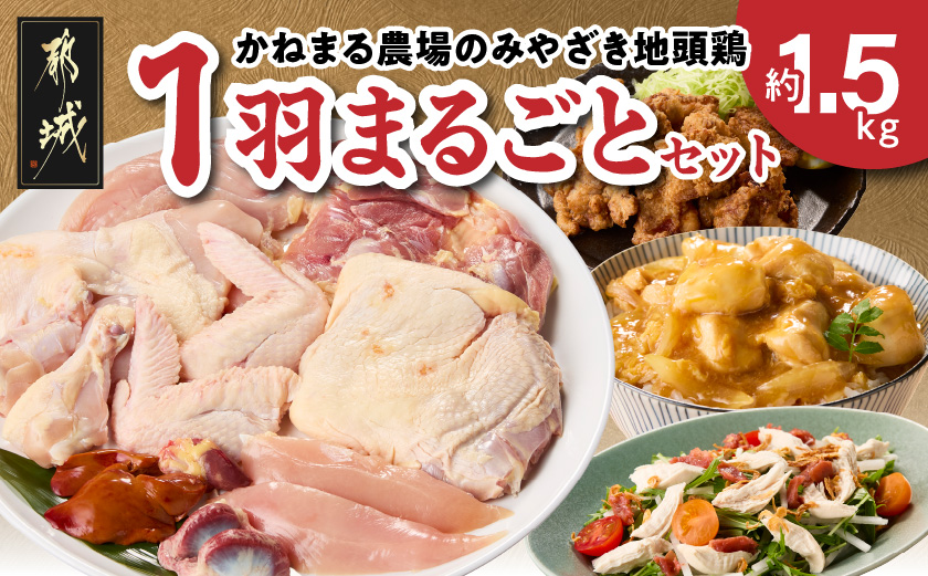 かねまる農場のみやざき地頭鶏1羽まるごとセット_MJ-J705