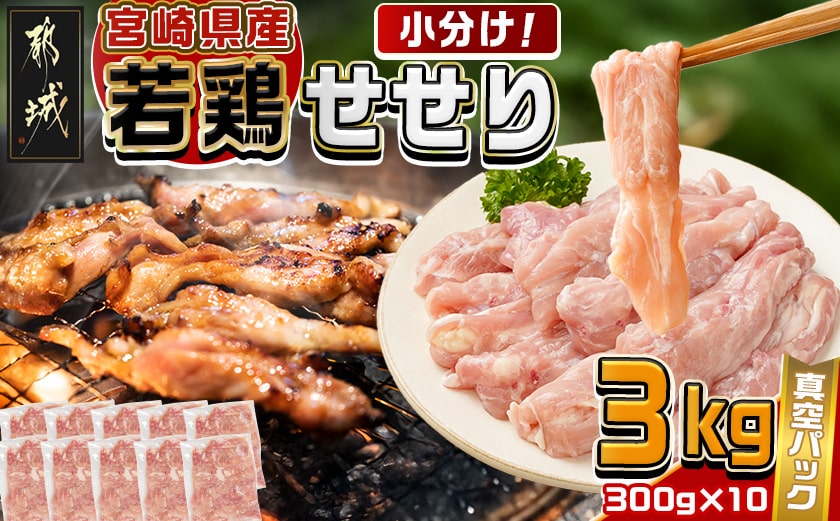 宮崎県産若鶏せせり3kg_MJ-M603