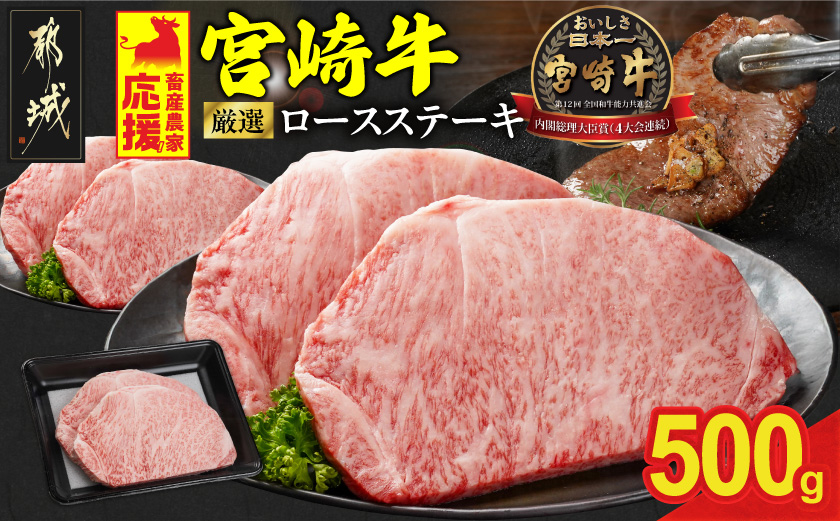 畜産農家応援! 宮崎牛ロースステーキ2枚 計500g_MJ-N201