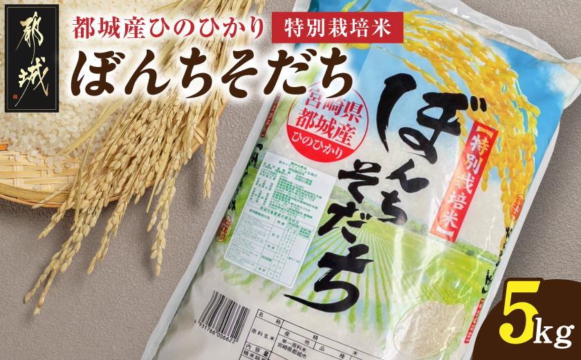 都城産ひのひかり特別栽培米「ぼんちそだち」5kg(5kg×1袋)_MJ-N503