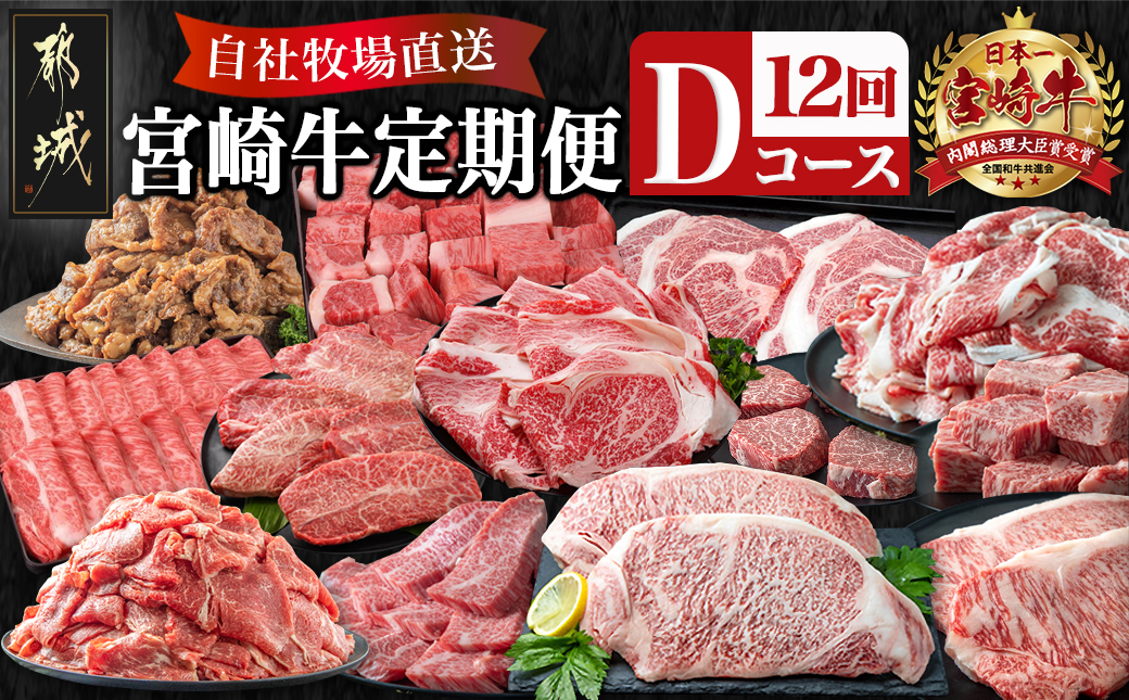 宮崎牛定期便(12回お届け) Dコース_T100(12)-2501