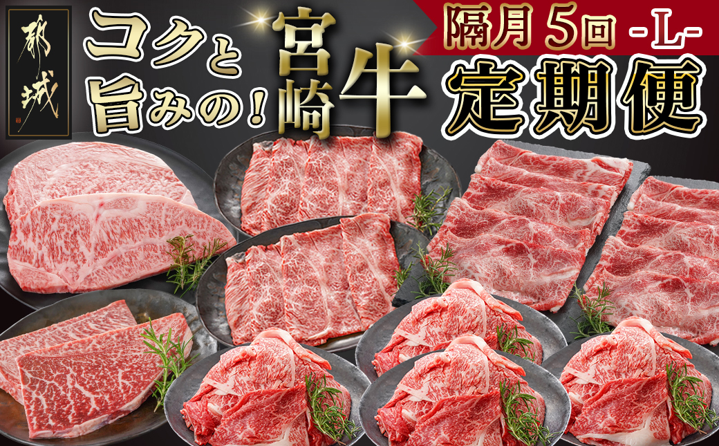 コクと旨味の宮崎牛定期便 L(隔月5回)_T110-5-6501