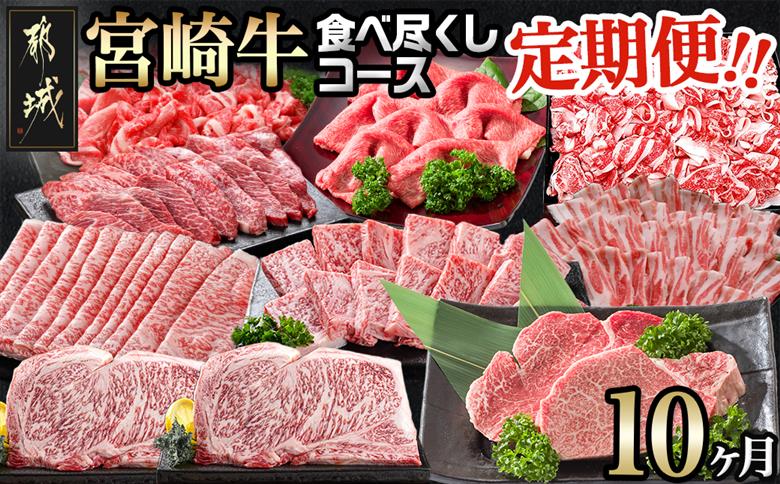 迷ったらコレ!宮崎牛食べ尽くし定期便(10ヵ月)_T120（10）-0101