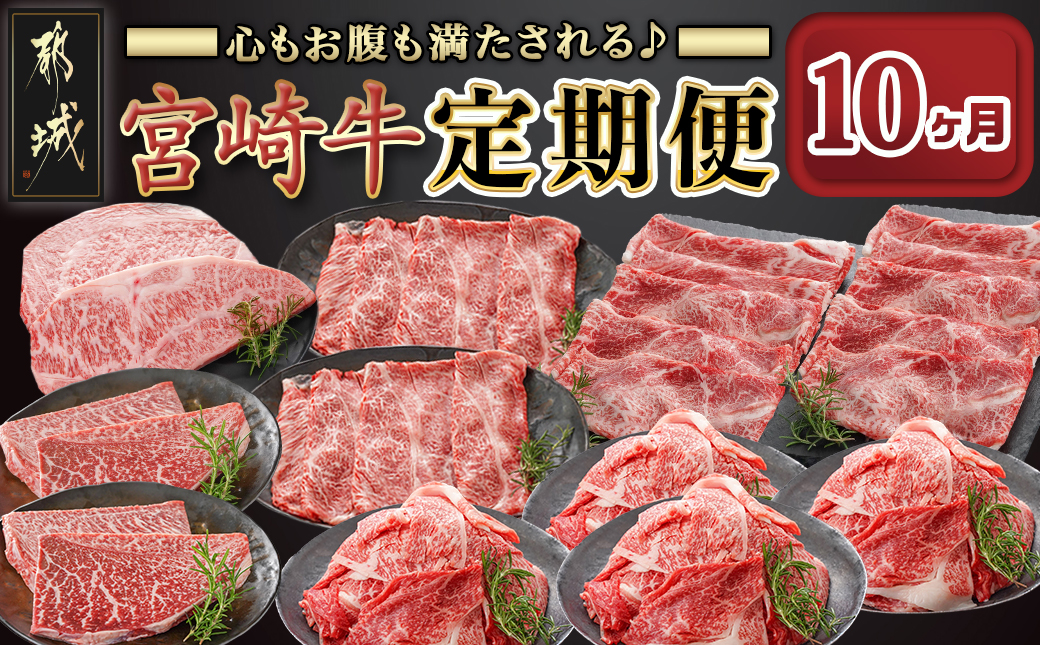 心もお腹も満たされる♪宮崎牛定期便(10ヶ月)_T140-10-6501