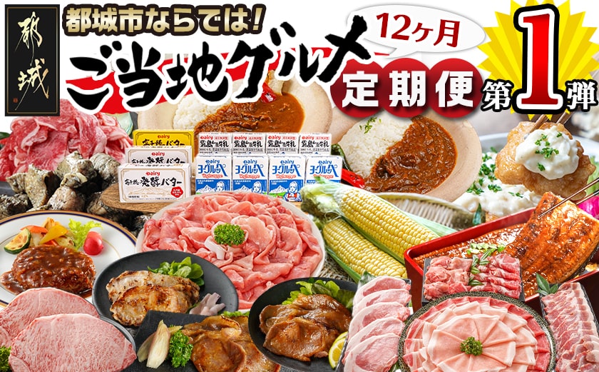 【セレクト定期便】第1弾☆都城市ご当地グルメ定期便(12ヶ月)≪2026年お届け≫_T156-MY01