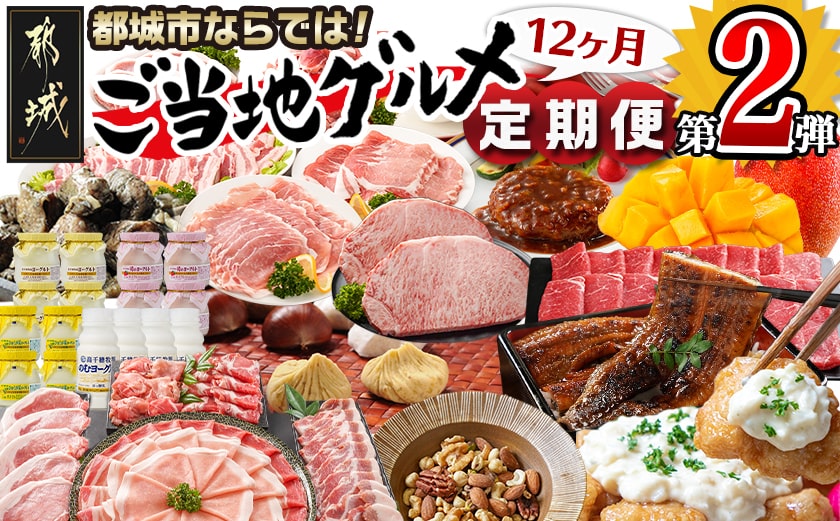 【セレクト定期便】第2弾☆都城市ご当地グルメ定期便(12ヶ月)≪2026年お届け≫_T175-MY01