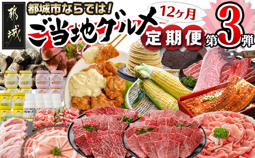 【セレクト定期便】第3弾☆都城市ご当地グルメ定期便(12ヶ月)≪2026年お届け≫_T180-MY01