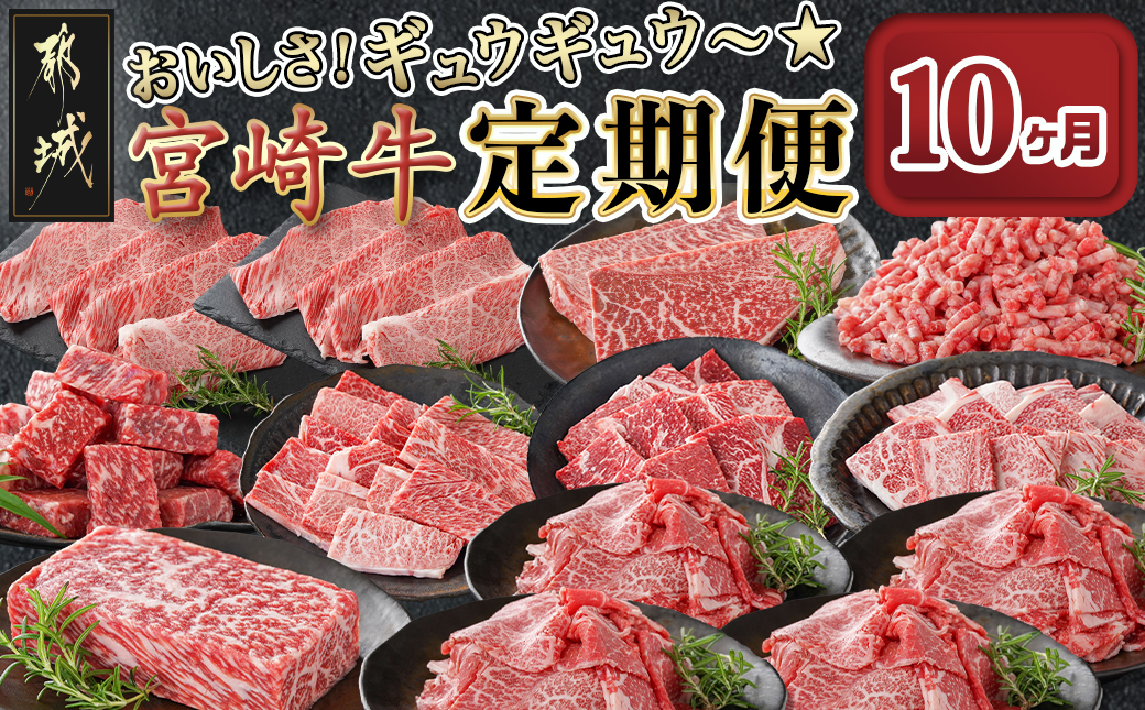 おいしさギュウギュウ♪宮崎牛定期便(10ヶ月)_T190-10-6501