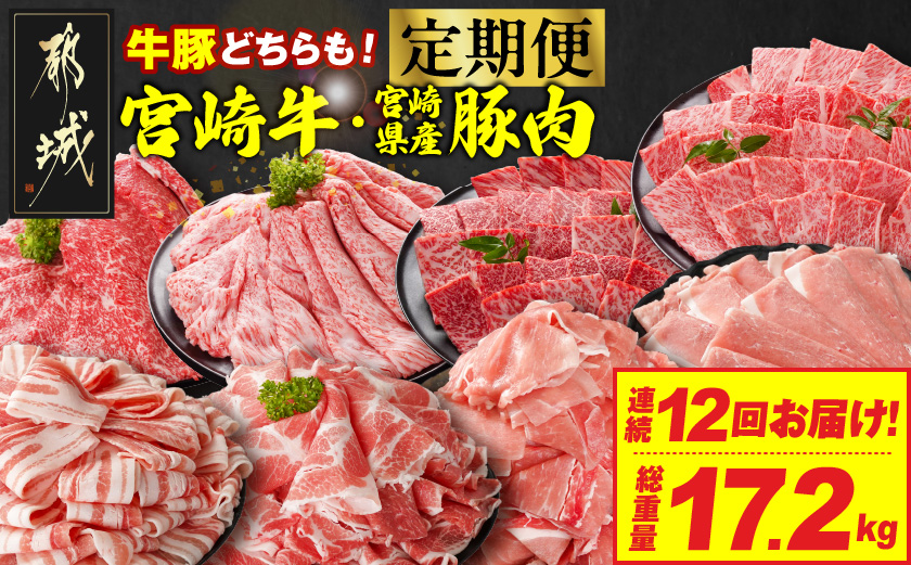 ≪12回連続お届け≫とにかくお肉大好き!宮崎牛と宮崎県産豚定期便M(総重量17.2kg)_T192-12-N202