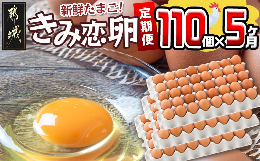 「きみ恋卵」110個定期便(5ヶ月)_T40（5）-2901