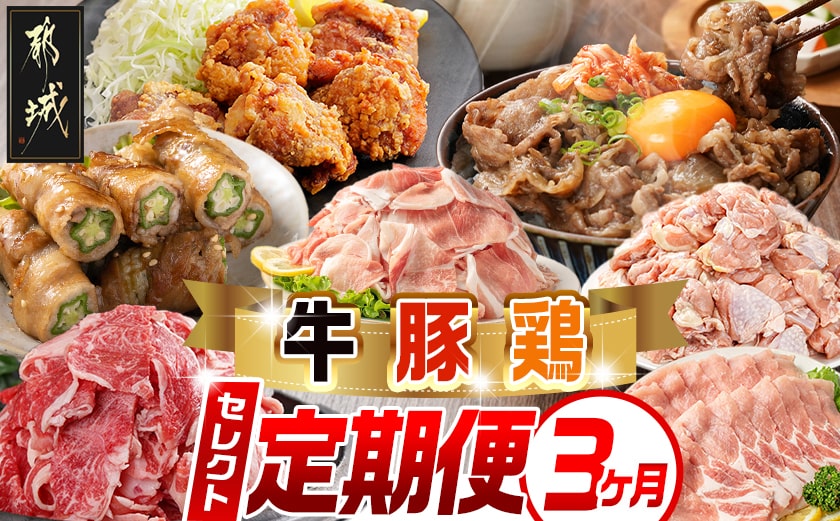 【セレクト定期便】～牛・鶏・豚定期便(3ヶ月)≪2026年お届け≫_T46-MY01