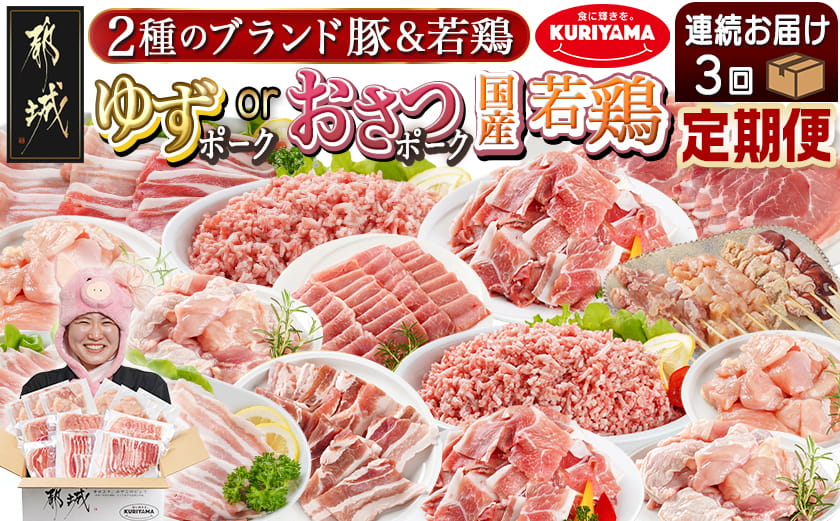 ≪3回連続お届け≫「おさつポーク又はゆずポーク」&鶏バラエティ定期便_T54-3-1401