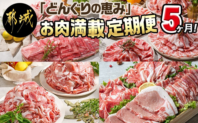 「どんぐりの恵み豚」お肉満載定期便(5ヶ月)_T60(5)-1102