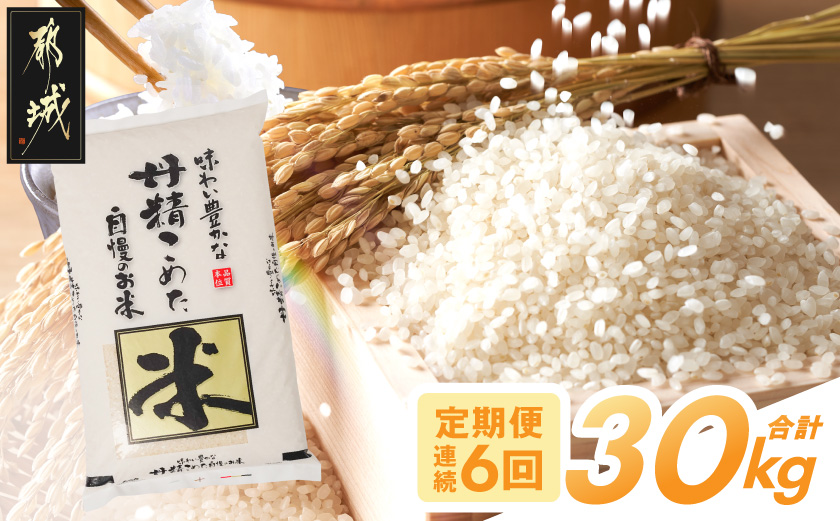 ≪6回お届け!≫都城産米と国産米ブレンド 5kg_T66-6-33-001-5kg