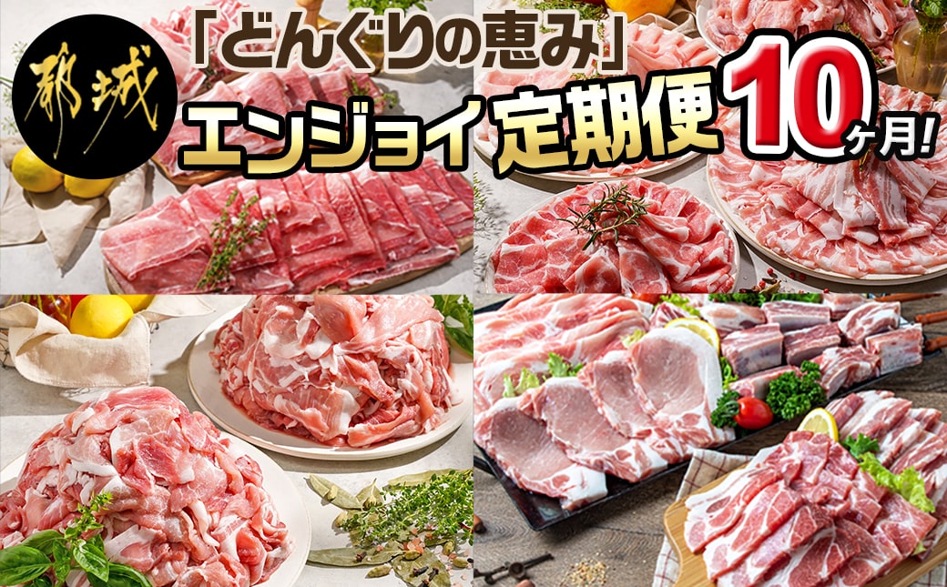 「どんぐりの恵み豚」エンジョイ定期便(10ヶ月)_T80(10)-1102