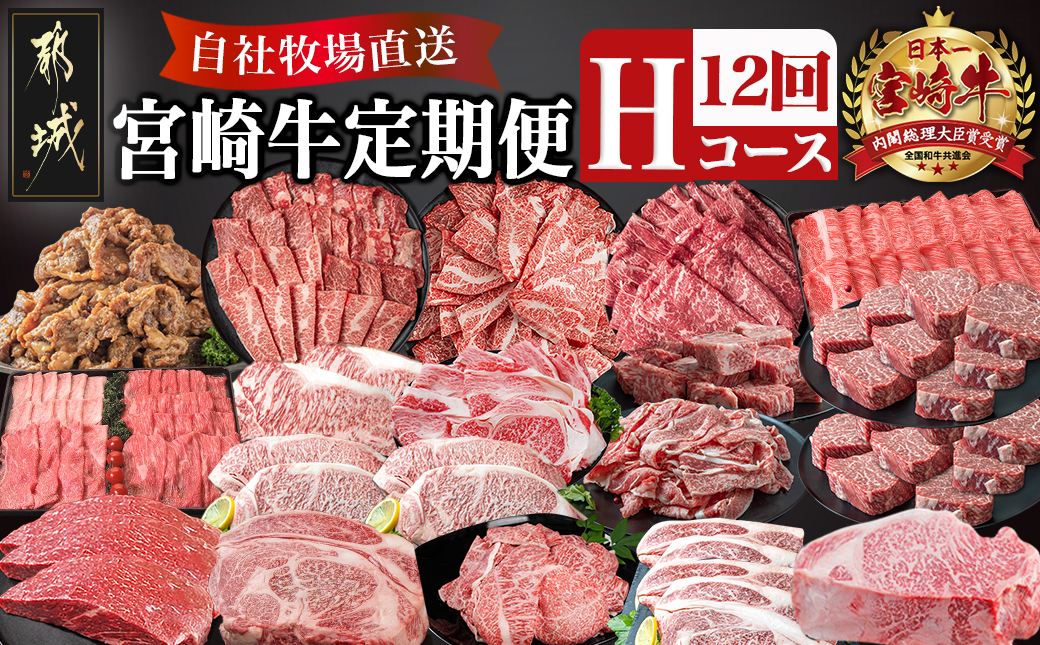 宮崎牛定期便(12回お届け) Hコース_TAI12-2501