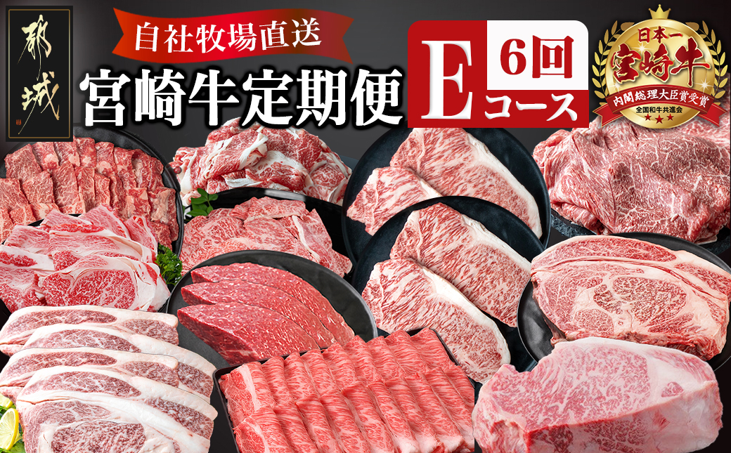 宮崎牛定期便(6回お届け) Eコース_TAI6-2501