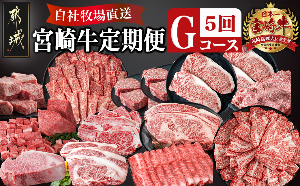 宮崎牛定期便(5回お届け) Gコース_TAJ5-2501