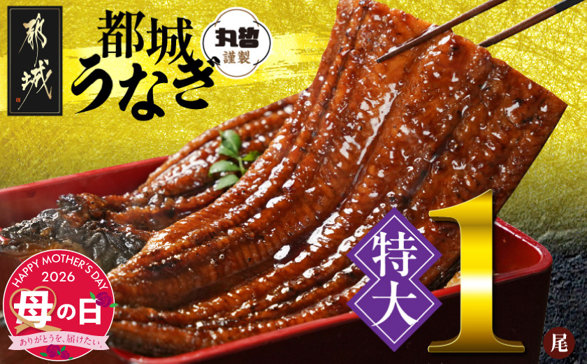 [母の日]宮崎県育ちの[特大]うなぎ蒲焼1尾210g以上≪山椒・たれ付≫≪5月7日〜10日お届け≫_11-M301-MG